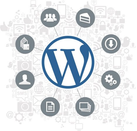 Wordpress suggestion for success