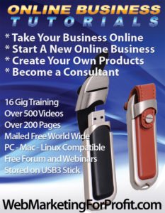 Online business training USB3 stick